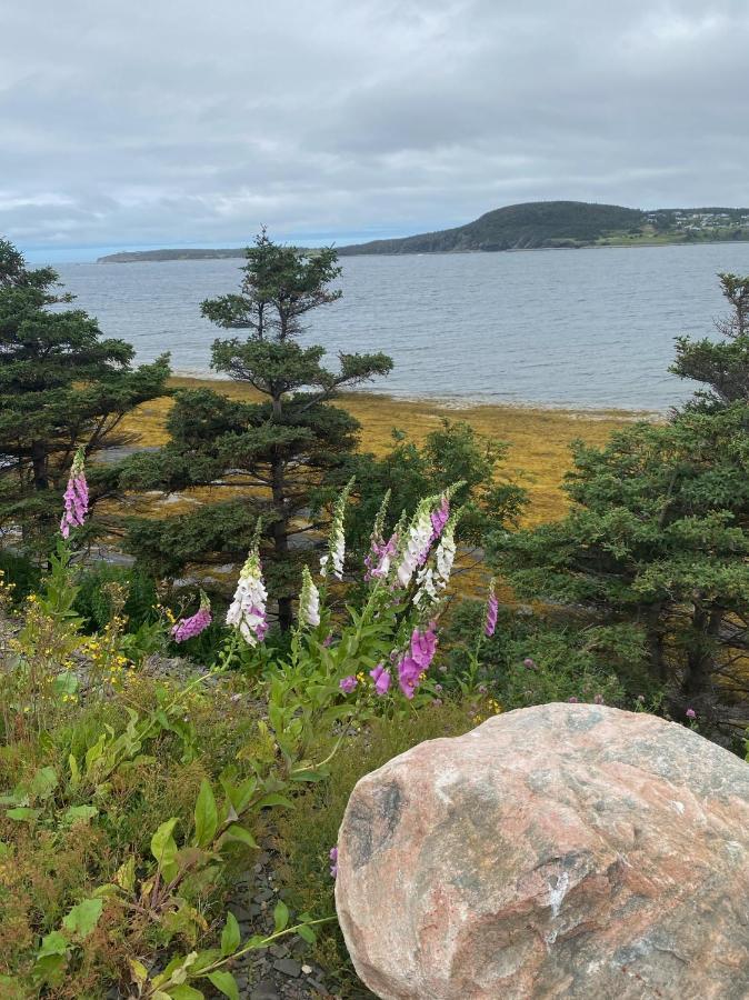 Вілла Rocky Harbour Oceanfront Екстер'єр фото