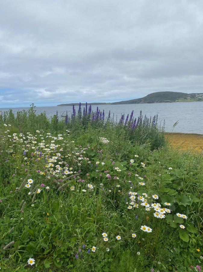 Вілла Rocky Harbour Oceanfront Екстер'єр фото